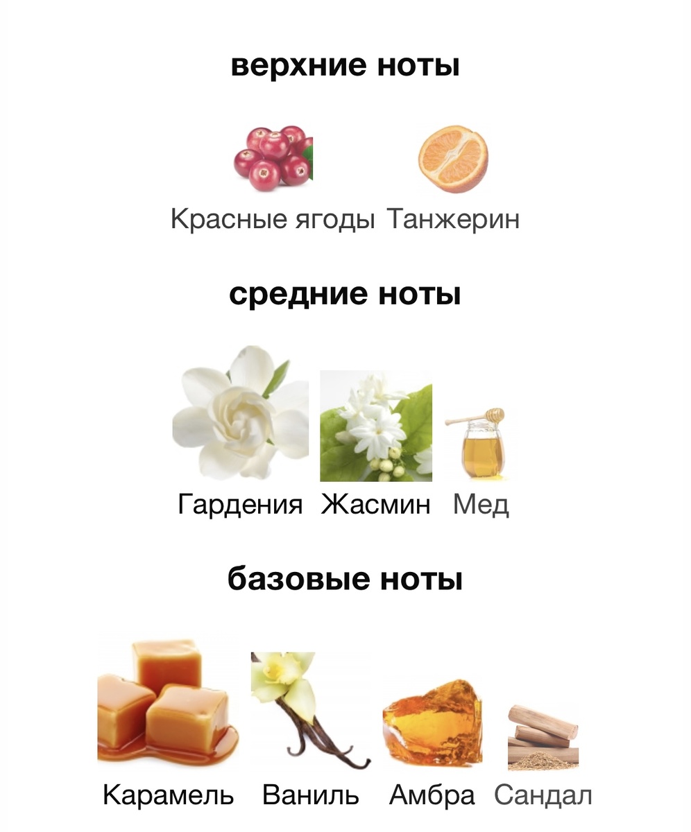                  Пирамида с сайта Fragrantica.ru