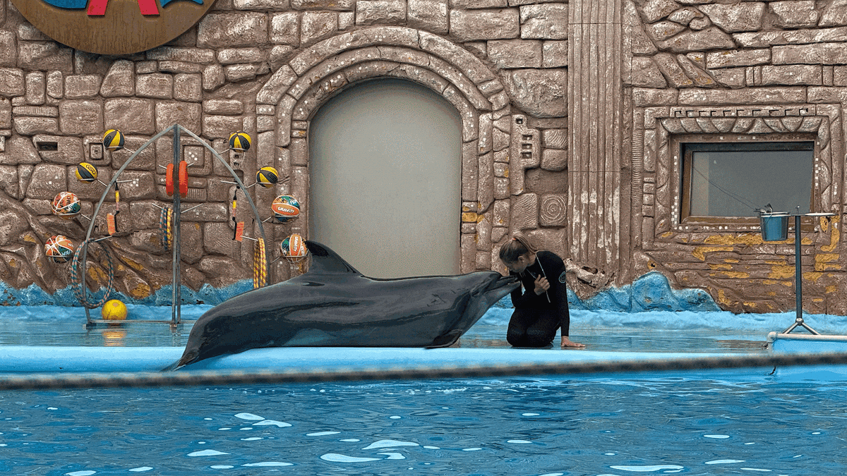 Было видно, как они друг друга любят