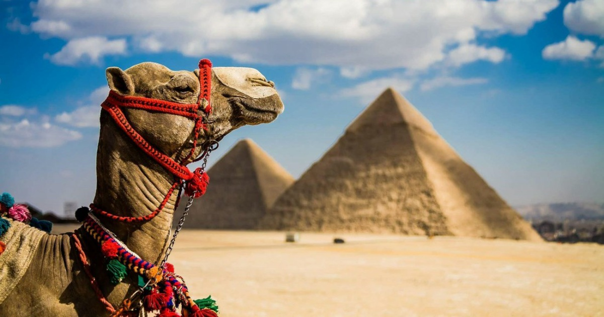Когда лучше ехать в Египет на отдых