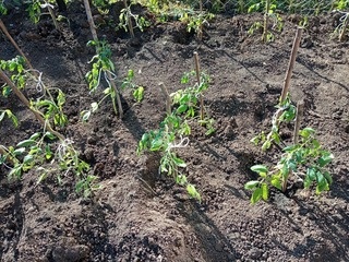    Фото: Пруфы.рф