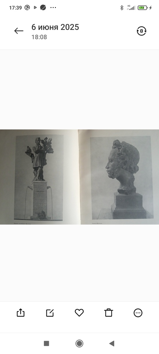 Скриншот с фотографии с телефона. Фото автора.