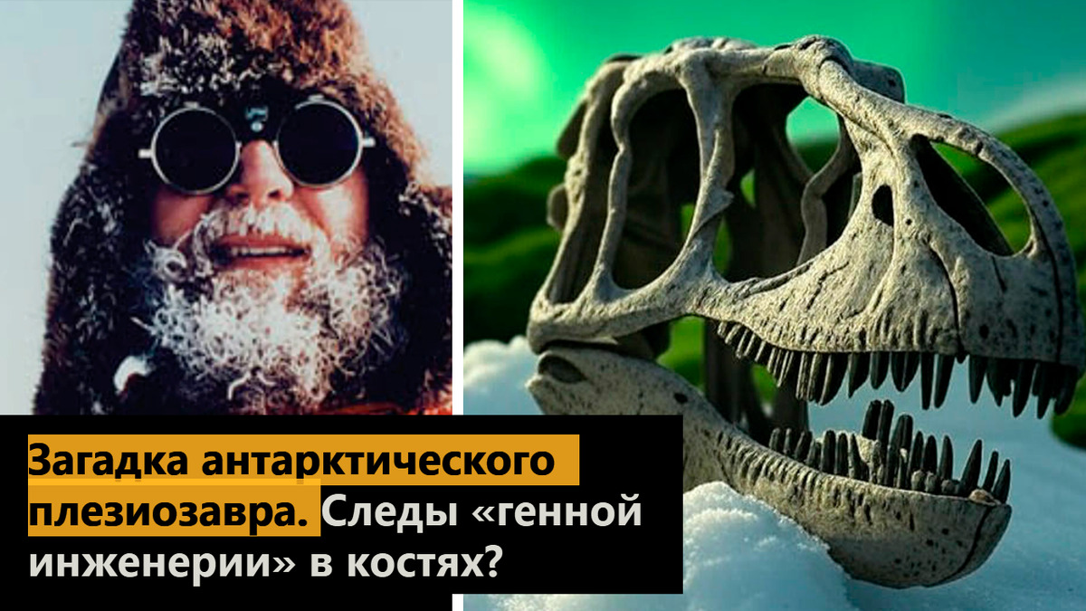 Загадка антарктического плезиозавра. Следы «генной инженерии» в костях доисторического ящера?