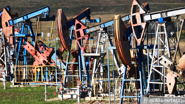     Фото: Егор Алеев/ТАСС   
 Текст: Валерия Городецкая