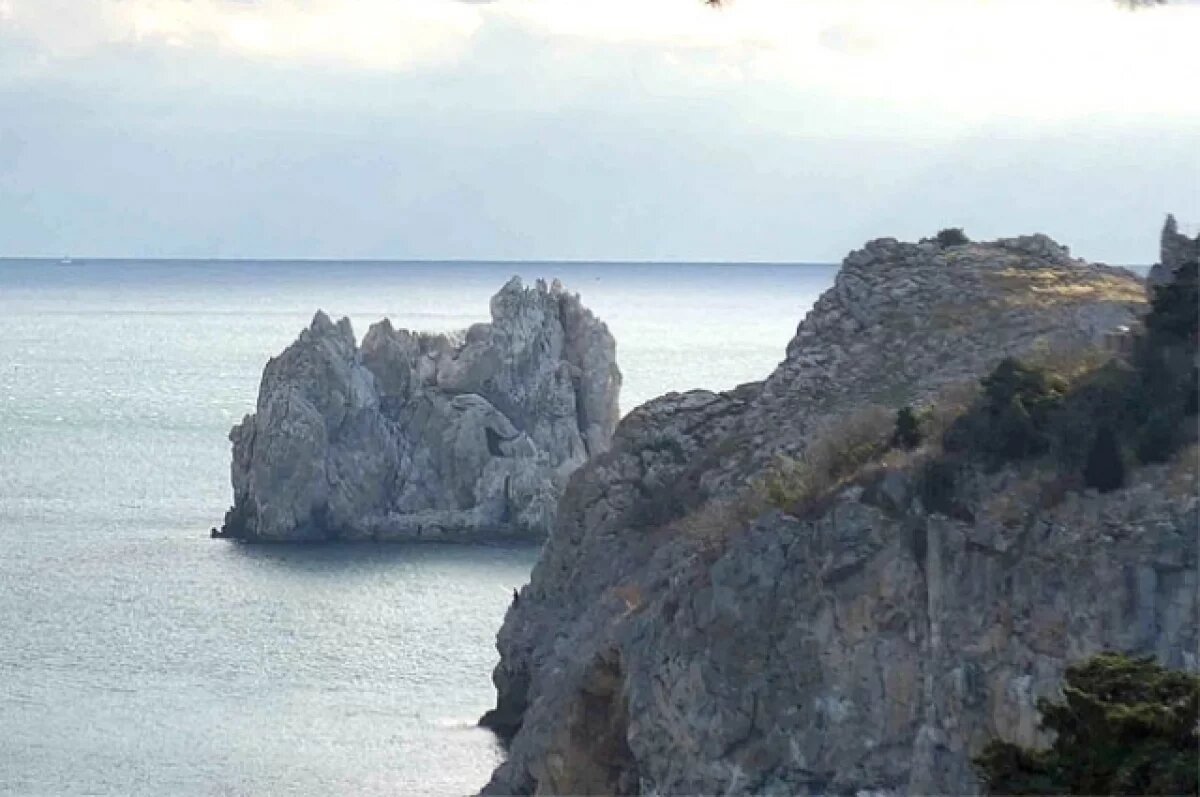    Украина ввела бессрочные санкции против «Артека»