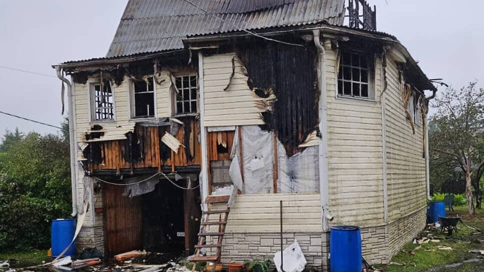 Фото: ГСУ СКР по Санкт-Петербургу