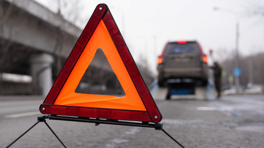    Фото: ИЗВЕСТИЯ/Эдуард Корниенко