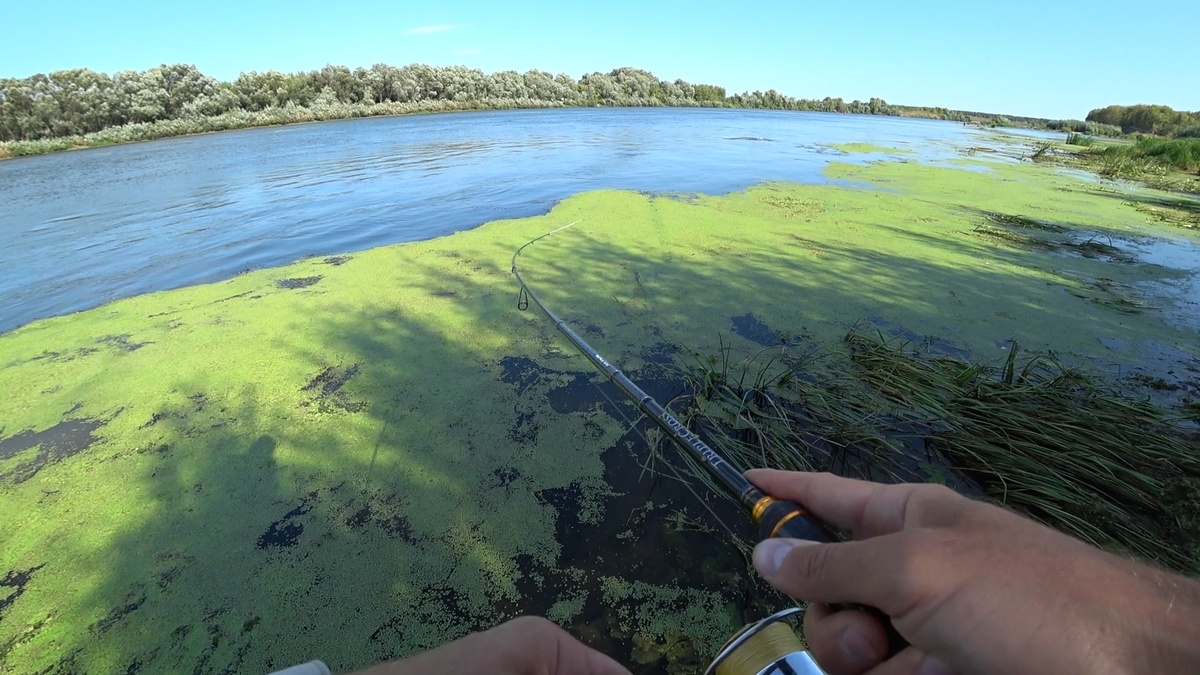 Заставка к видео "Не зря остался до вечера ! Поверхностные приманки"