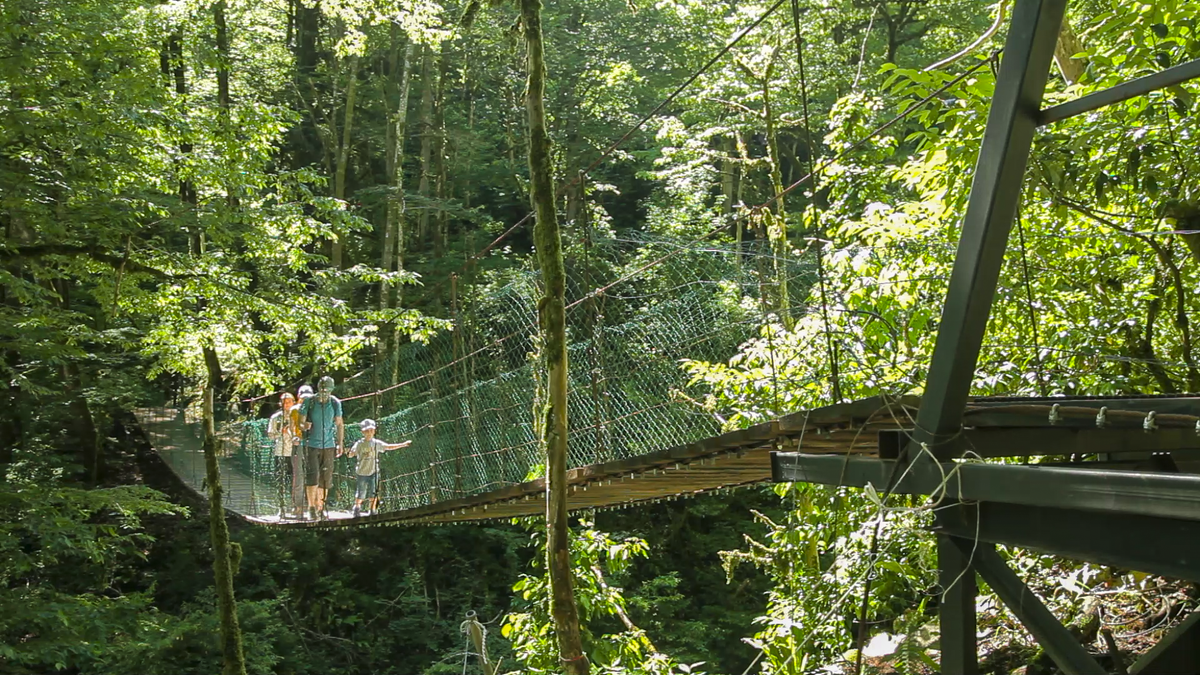 Фото: пресс-служба Кавказского заповедника  📷
