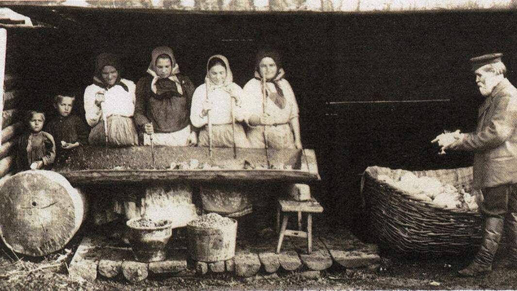 Заготовка капусты на зиму. Источник фото: humus.livejournal.com