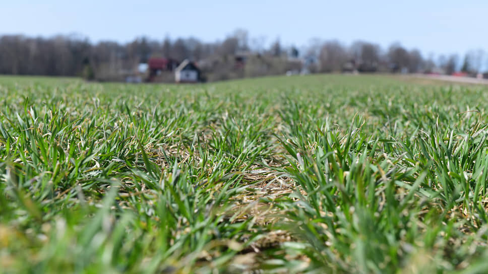 Фото: Александр Коряков / Коммерсантъ