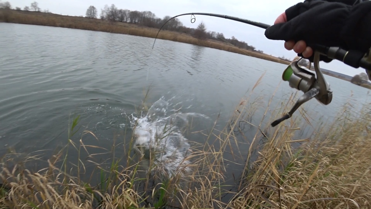 Заставка к видео "Вот это щука ! Это трофей осени !"