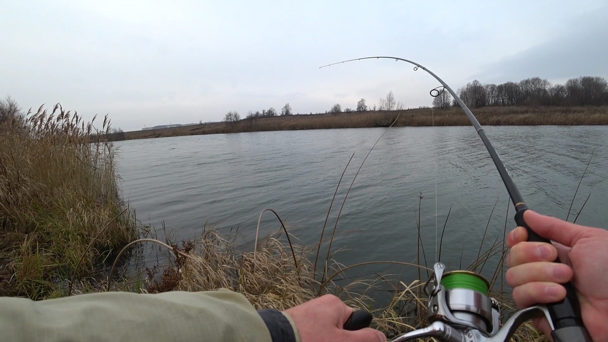 Заставка к видео "Клюнул монстр ? Она не сдвигается с места !"