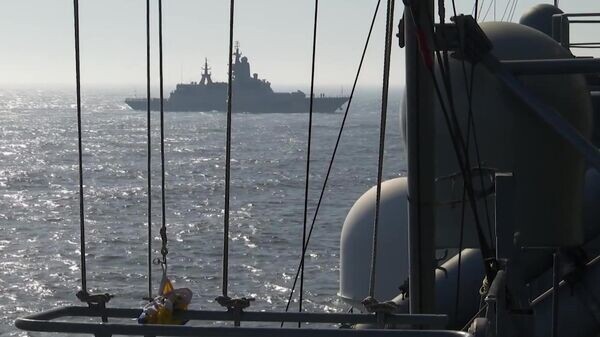    © Sputnik / Пресс-служба Минобороны РФ