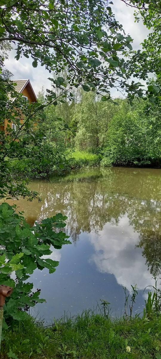 Фото автора