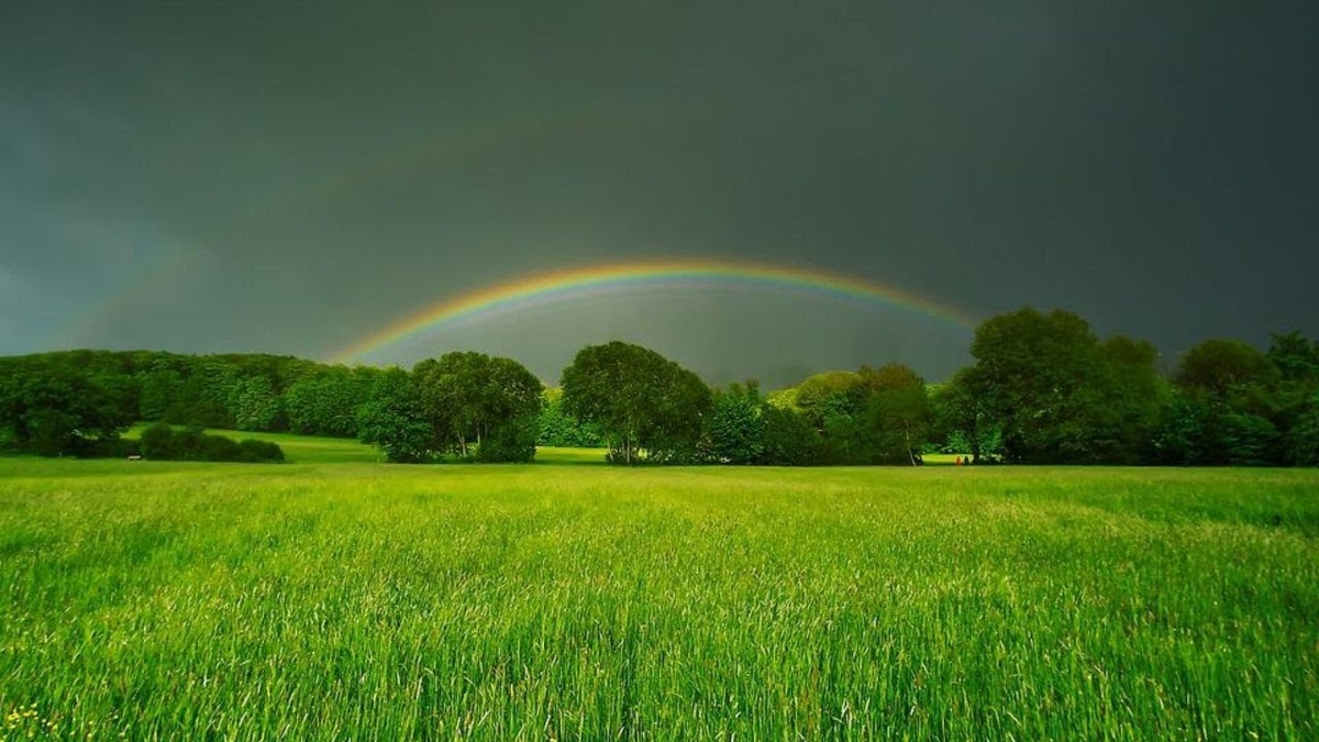 Фотография использована в иллюстрационных целях и взята из открытого доступа Яндекс-фото