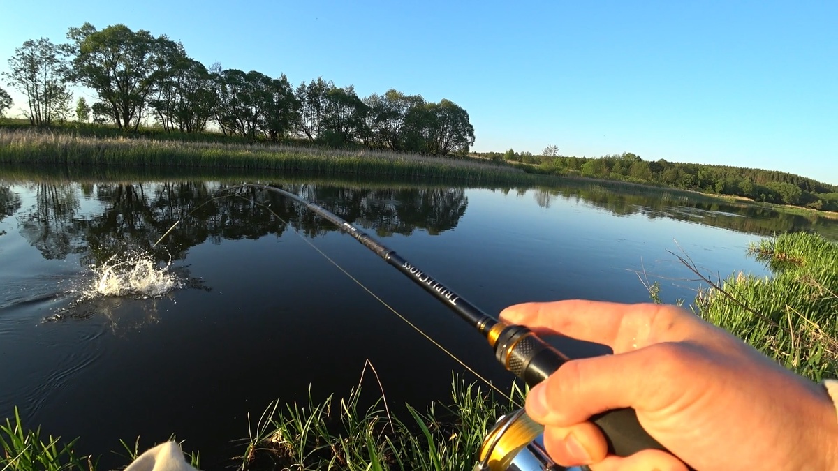 Заставка к видео "Новый метод поразил ! Жерехи обезумели от раков !"