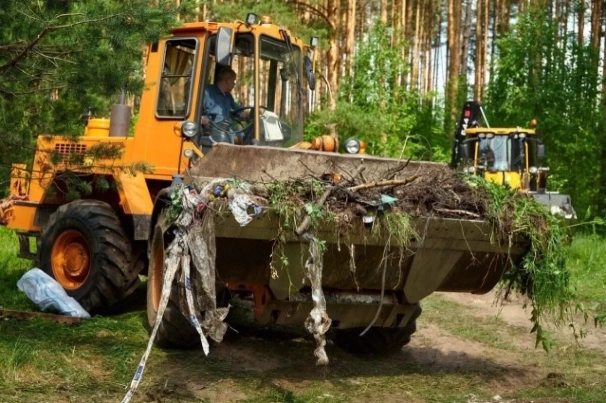    Незаконную свалку ликвидировали в Нижегородской области