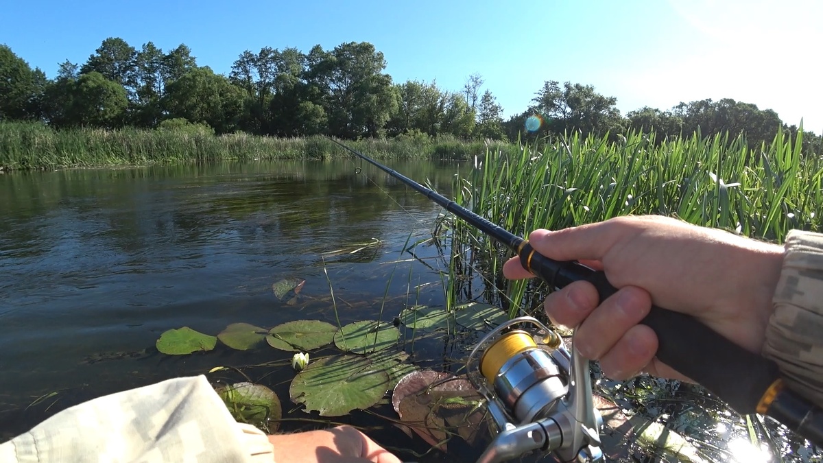 Заставка к видео "Рыба моей мечты ! Рыбалка на заросших перекатах превзошла ожидания !"