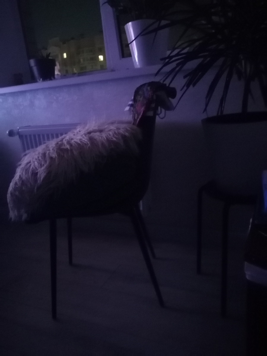 Похоже на овцу которая жуёт куст, а это всего лишь стул на котором лежат подушки