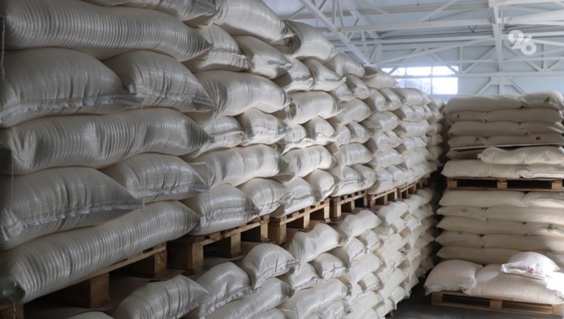      Фото: ИА «Победа26»