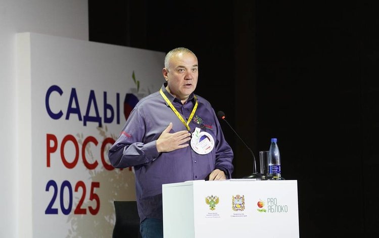    Россия должна достичь полного самообеспечения по отечественным яблокам к 2028 году