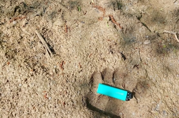    фото дирекции ООПТ Пермского края