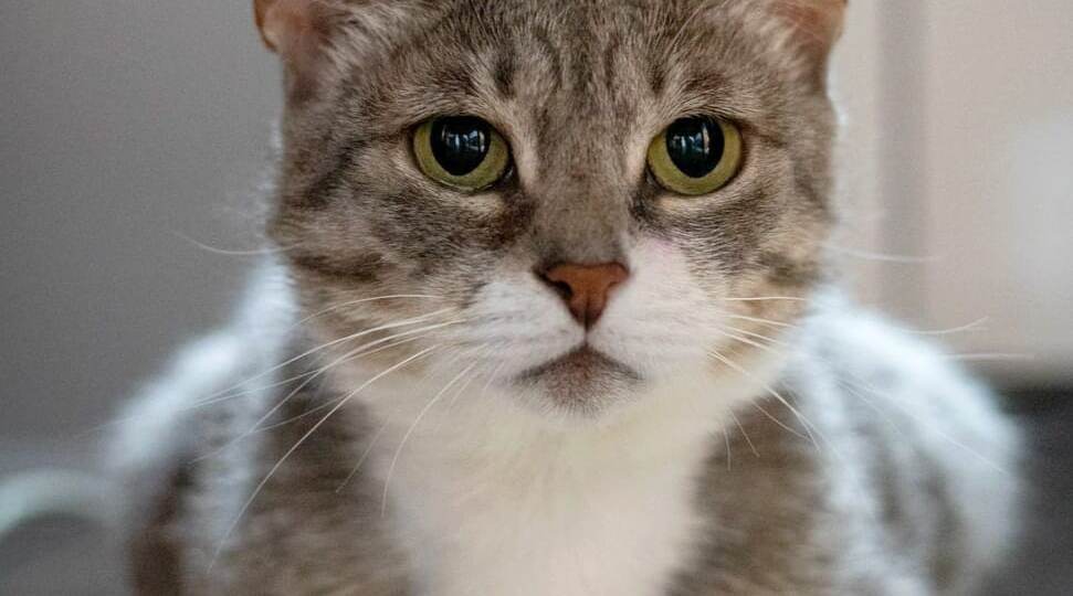 Кто-то вывез Зосю на промзону зимой