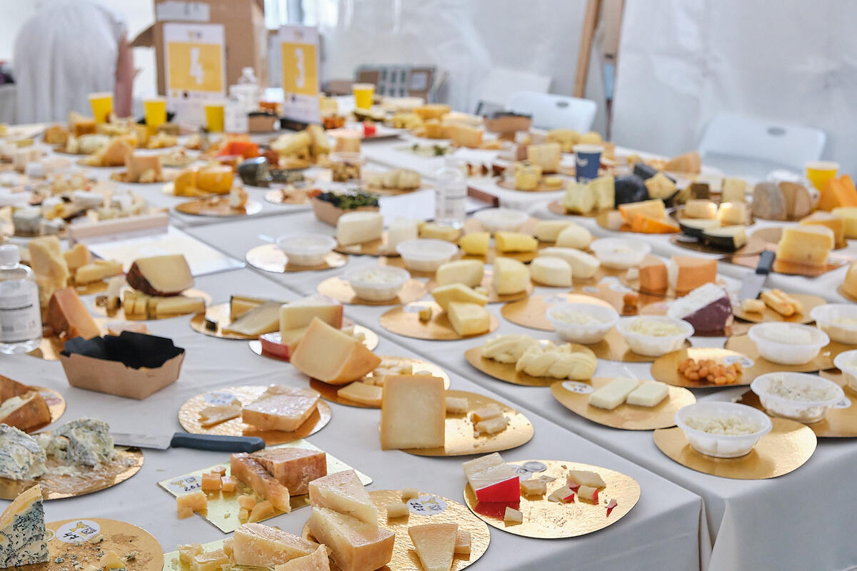 Образцы конкурса в 2024