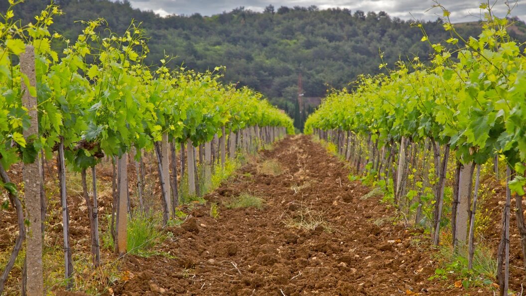    Aleksander Lyskin/Globallookpress