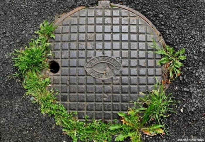 Источник фото: Мой Фасад