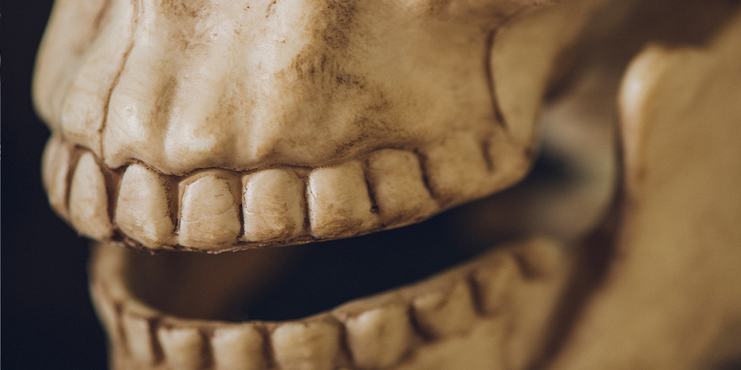 Неглубокие ямки в зубах предков оказались ключом к пониманию эволюции человека