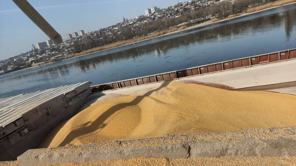 Фото: Пресс-служба ФГБУ «ЦОК АПК»