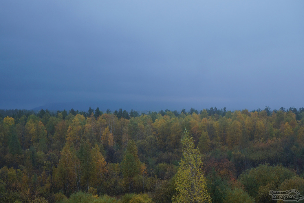    Фото: Гертруда Тиунова © ИА "Уральский меридиан"