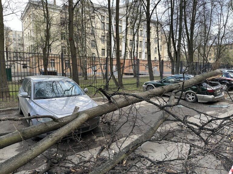   Фото: Агентство «Москва»/Мобильный репортер Анна Мигинеишвили