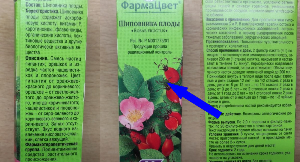 Российские ученые доказали шиповник побеждает рак