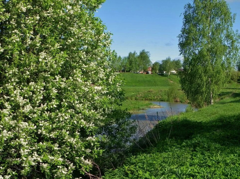 фото из интернета