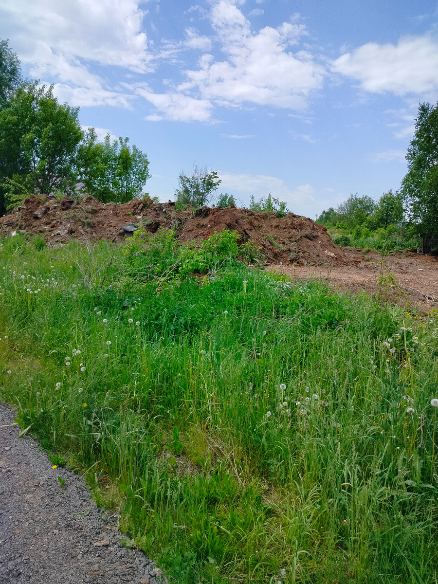 Будущий Смирновский парк.