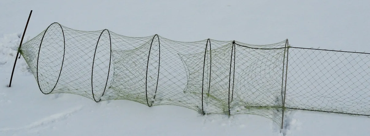 Фото с сайта: https://proza.ru/pics/2021/12/14/962.jpg