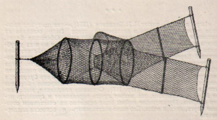 Фото с сайта: https://profrybolov.ru