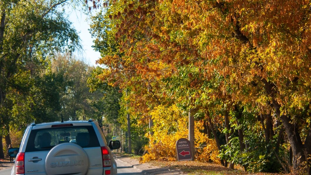    Svetlana Vozmilova/Globallookpress