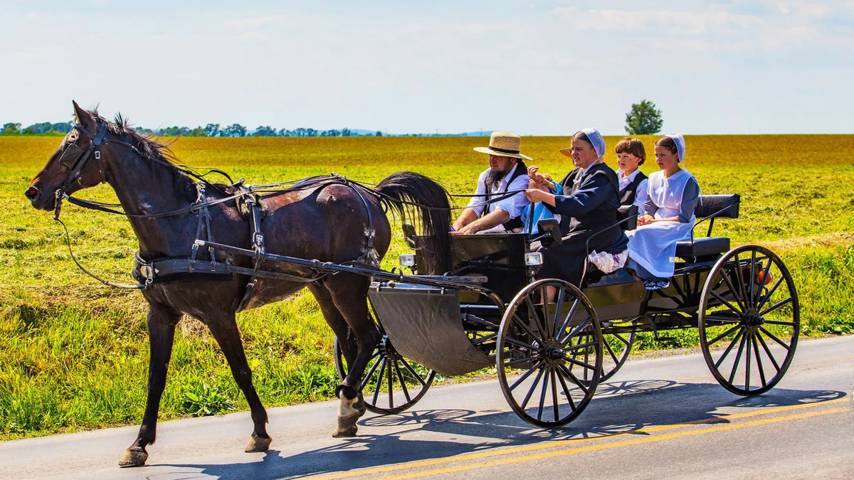 Транспорт амишей