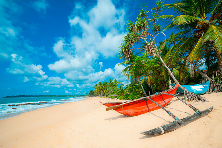    Shutterstock/FOTODOM