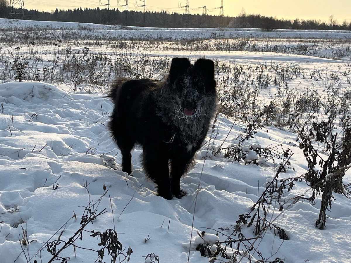 Не страшны нам морозы, когда рядом любимый человек