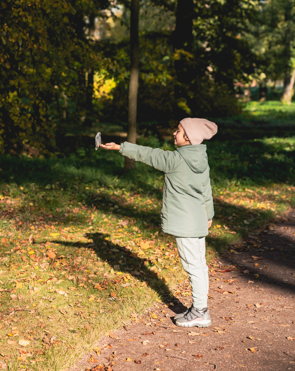 В парке, утренний свет