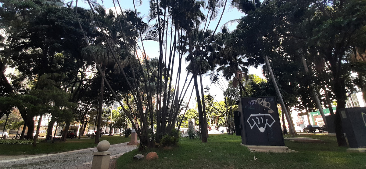 Город Кампинас, штат Сан-Паулу.