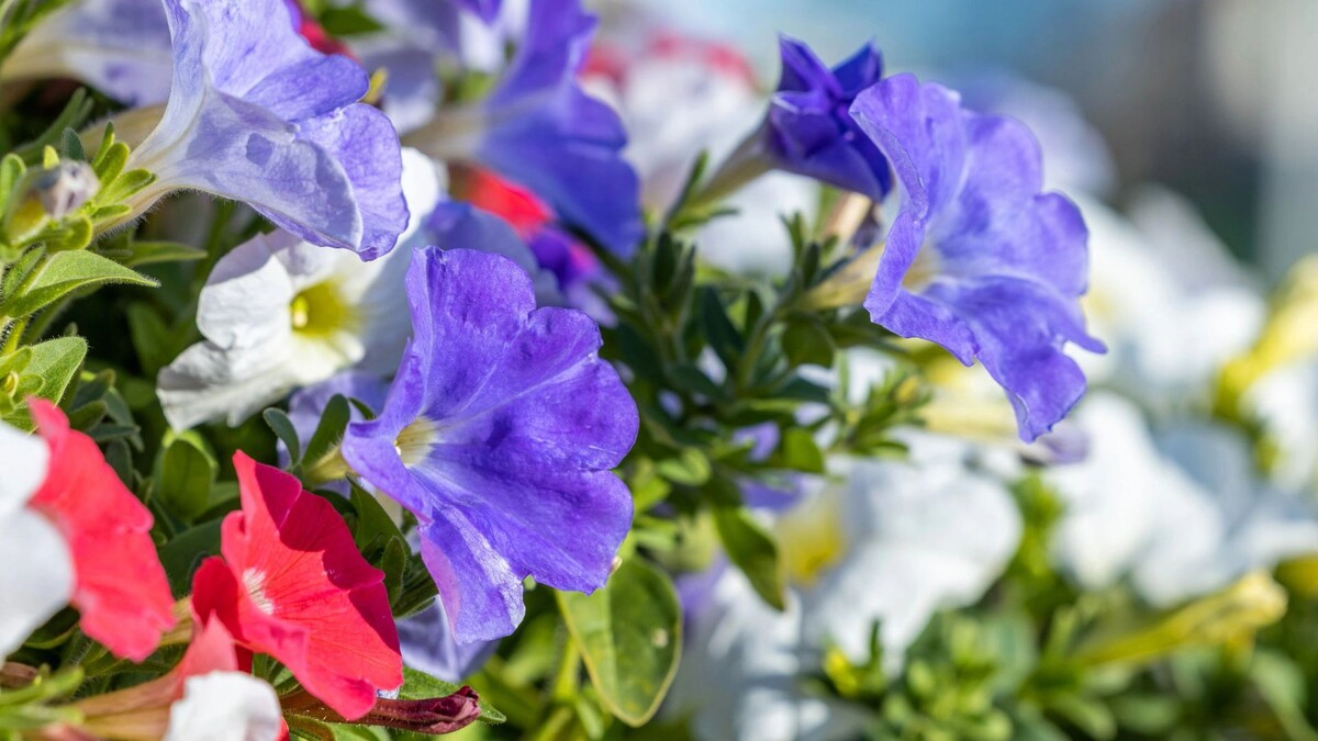    Фото: Федор Воронов / «Ямал-Медиа»