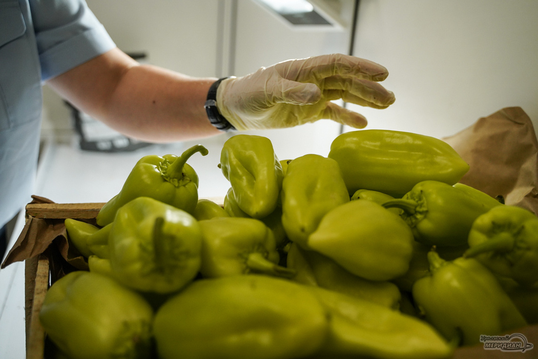    Фото: Лидия Аникина © ИА «Уральский меридиан»