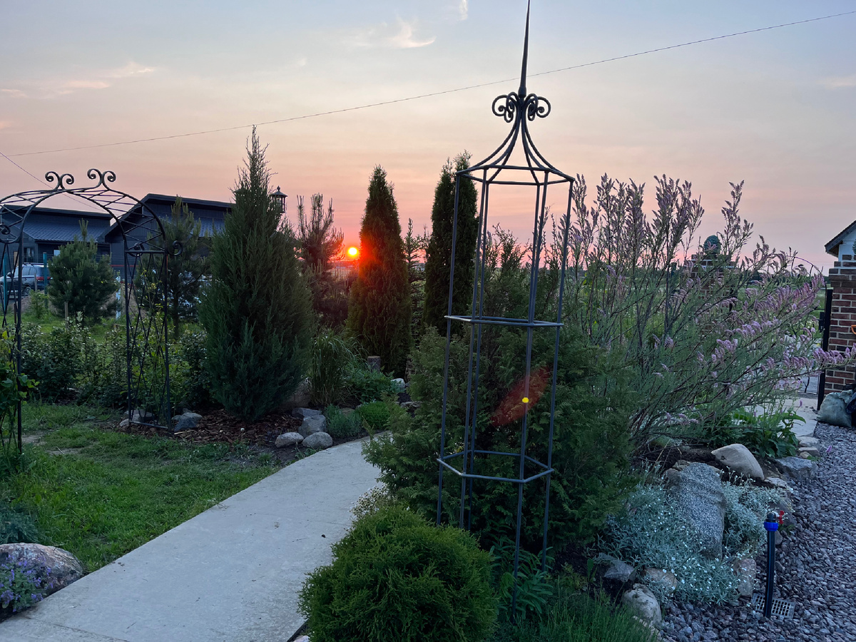 сад на закате