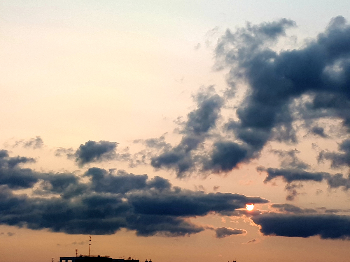 Фото автора статьи. 10.06.2025г.