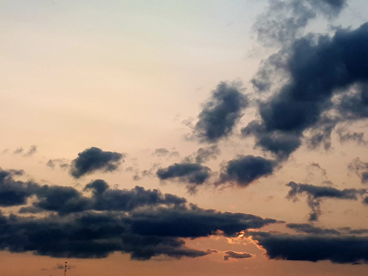 Фото автора статьи. 10.06.2025г.